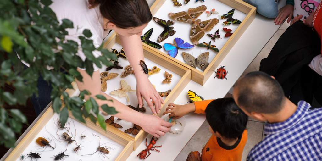 photo of parents and children at an exploration station at the Science Expeditions event; they are looking at and touching insects