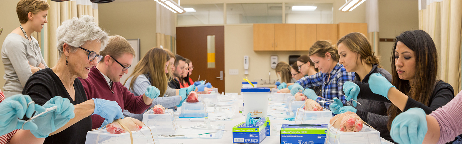DNP program students in the suture lab